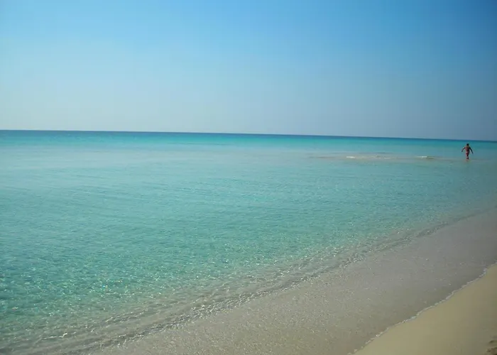 La Palude Del Conte לינה וארוחת בוקר 4*