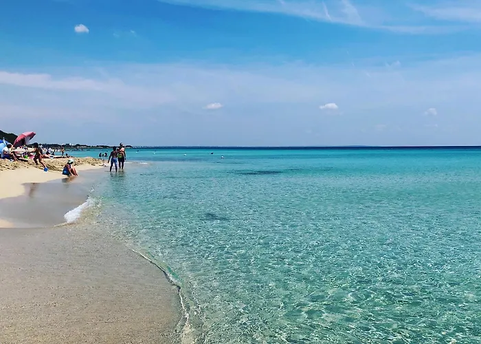 La Palude Del Conte